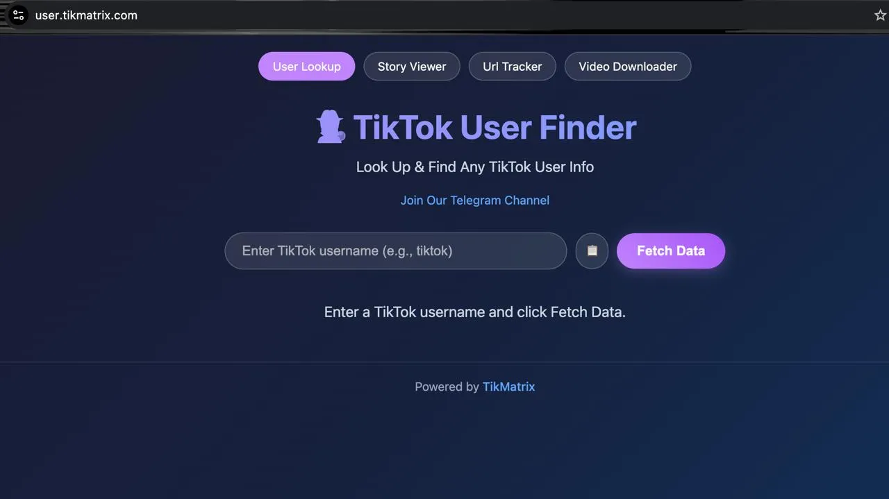 TikMatrix — TikTok User Lookup